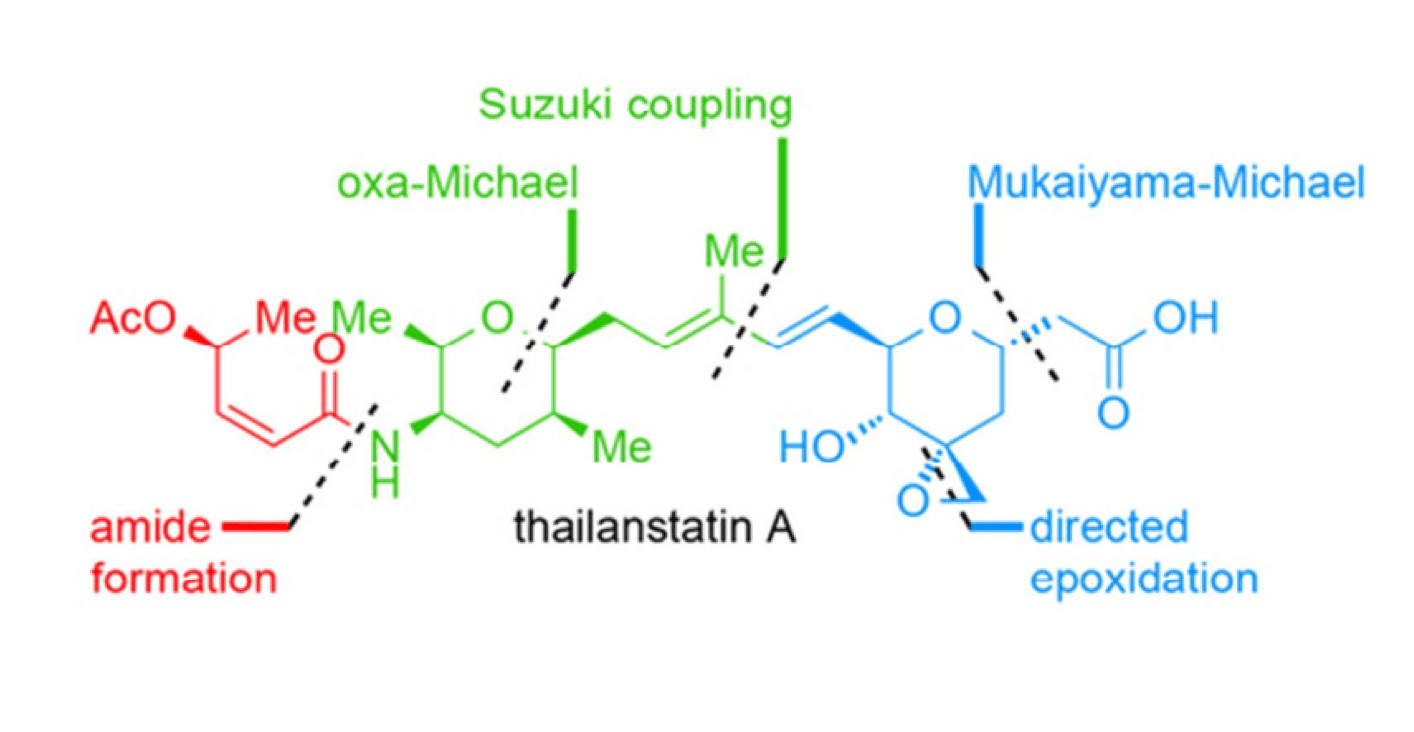 Chemical structure of Thailanstatin A,  a spliceosome inhibitor that binds to the SF3b subunit of the U2 snRNA  sub-complex. This toxin has become a candidate for novel anticancer drug  developments (J. Am. Chem. Soc., 2016).